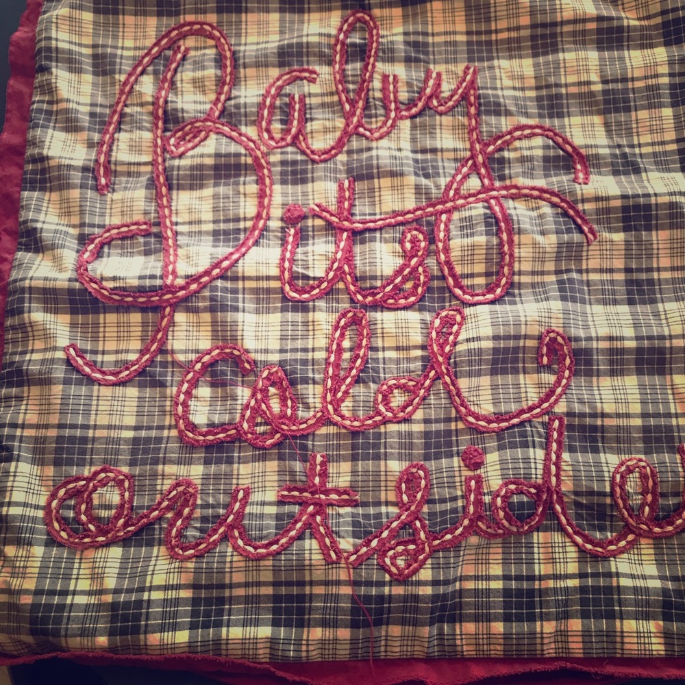 Pottery Barn 18” x 18” decorative pillow case